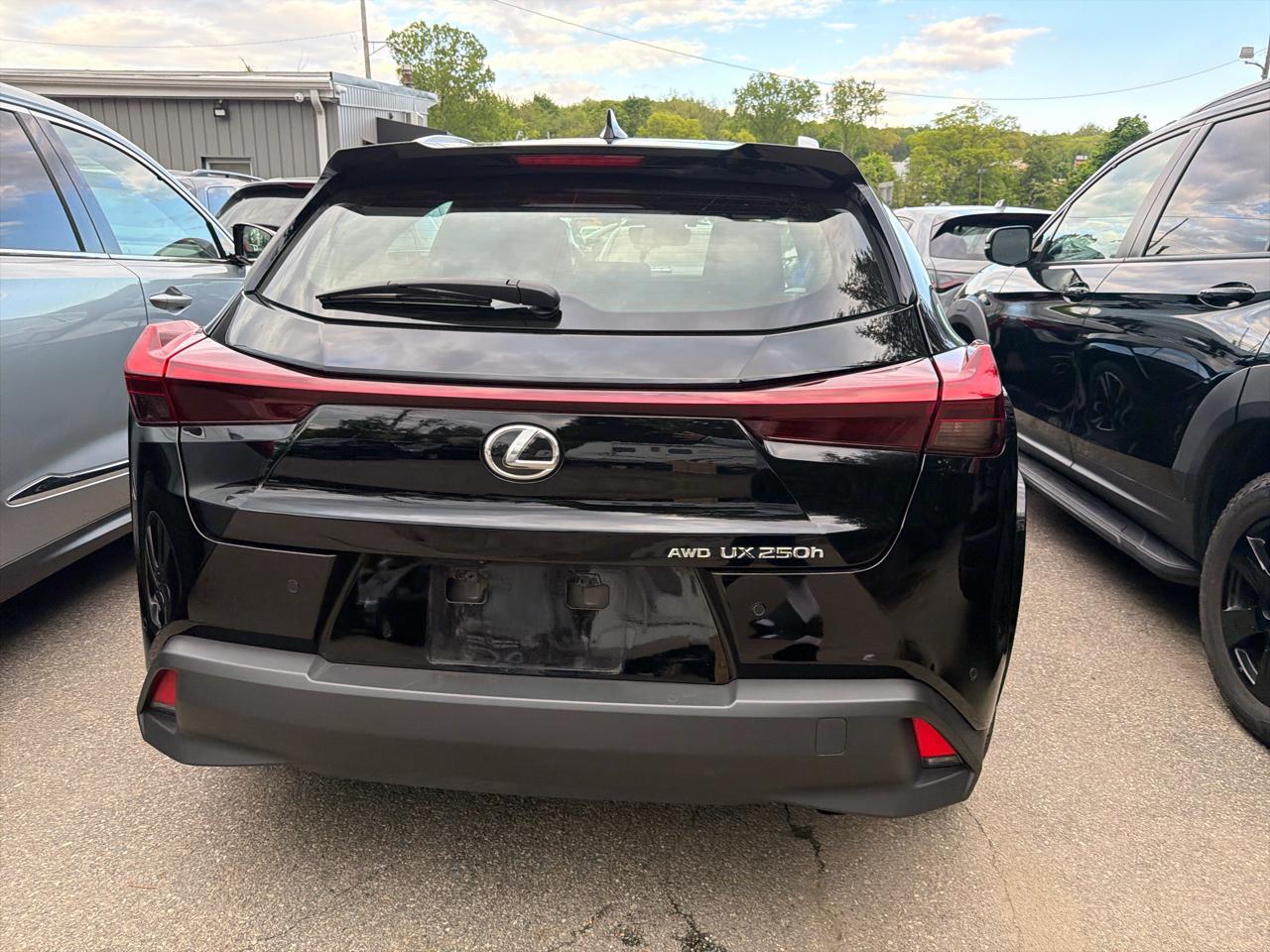 Lexus UX UX 250h Premium AWD 2023