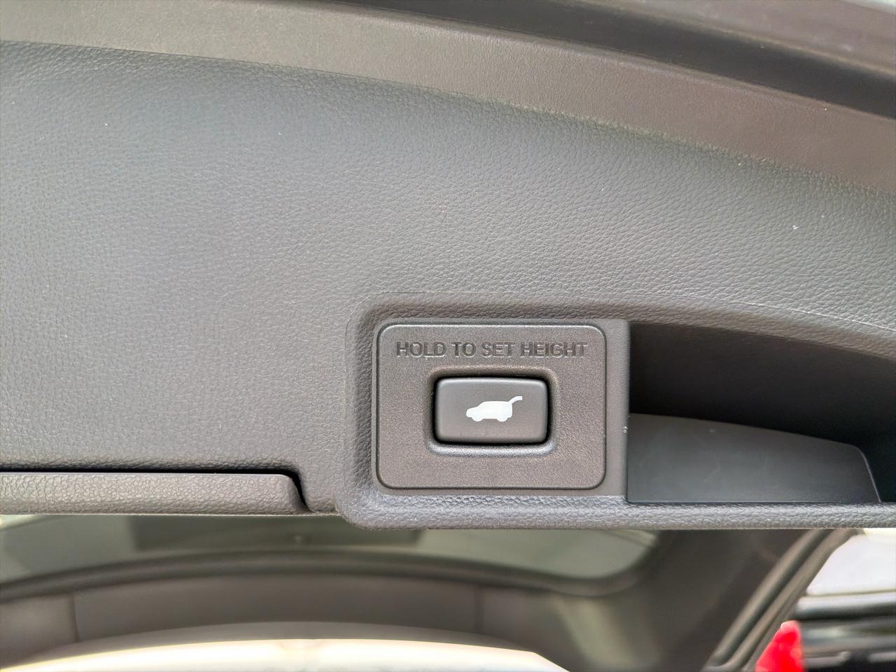 Acura RDX SH-AWD w/Technology Package 2023