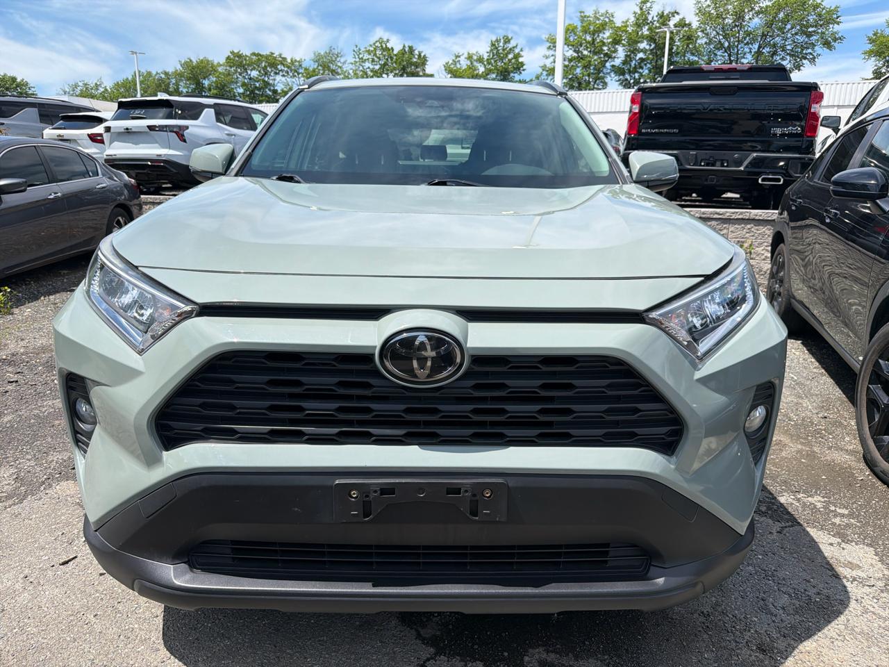 Toyota RAV4 XLE AWD (Natl) 2019