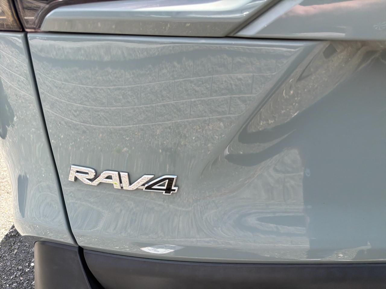 Toyota RAV4 XLE AWD (Natl) 2019