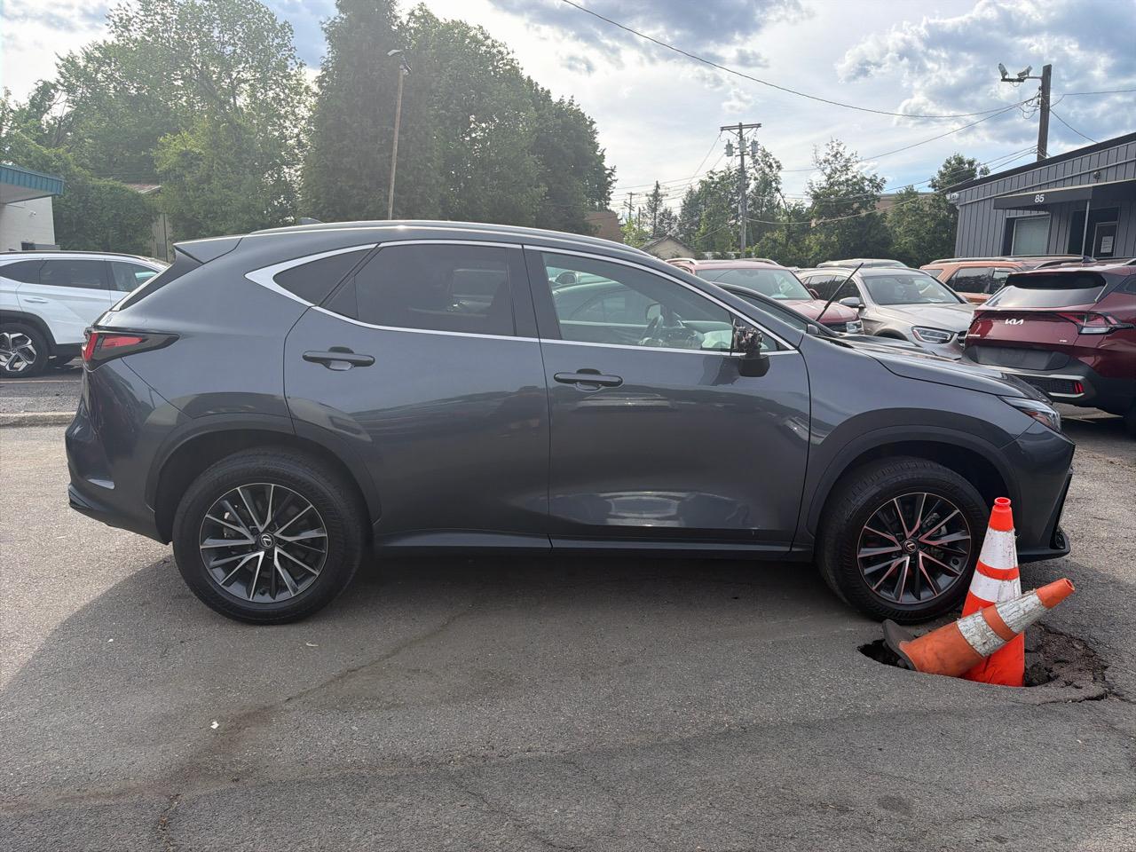 Lexus NX NX 350h Premium AWD 2024