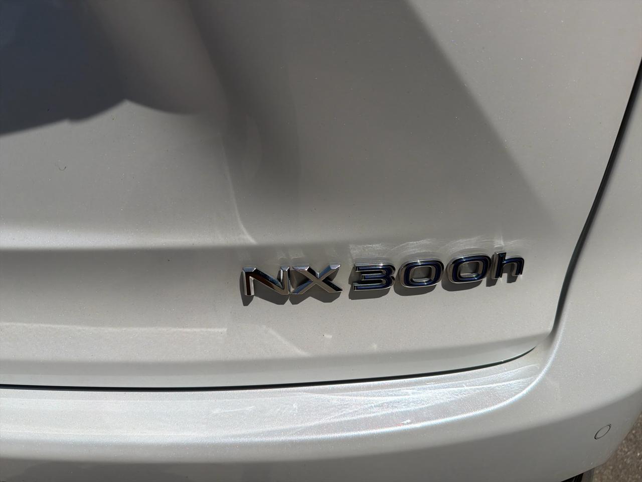 Lexus NX NX 300h AWD 2021