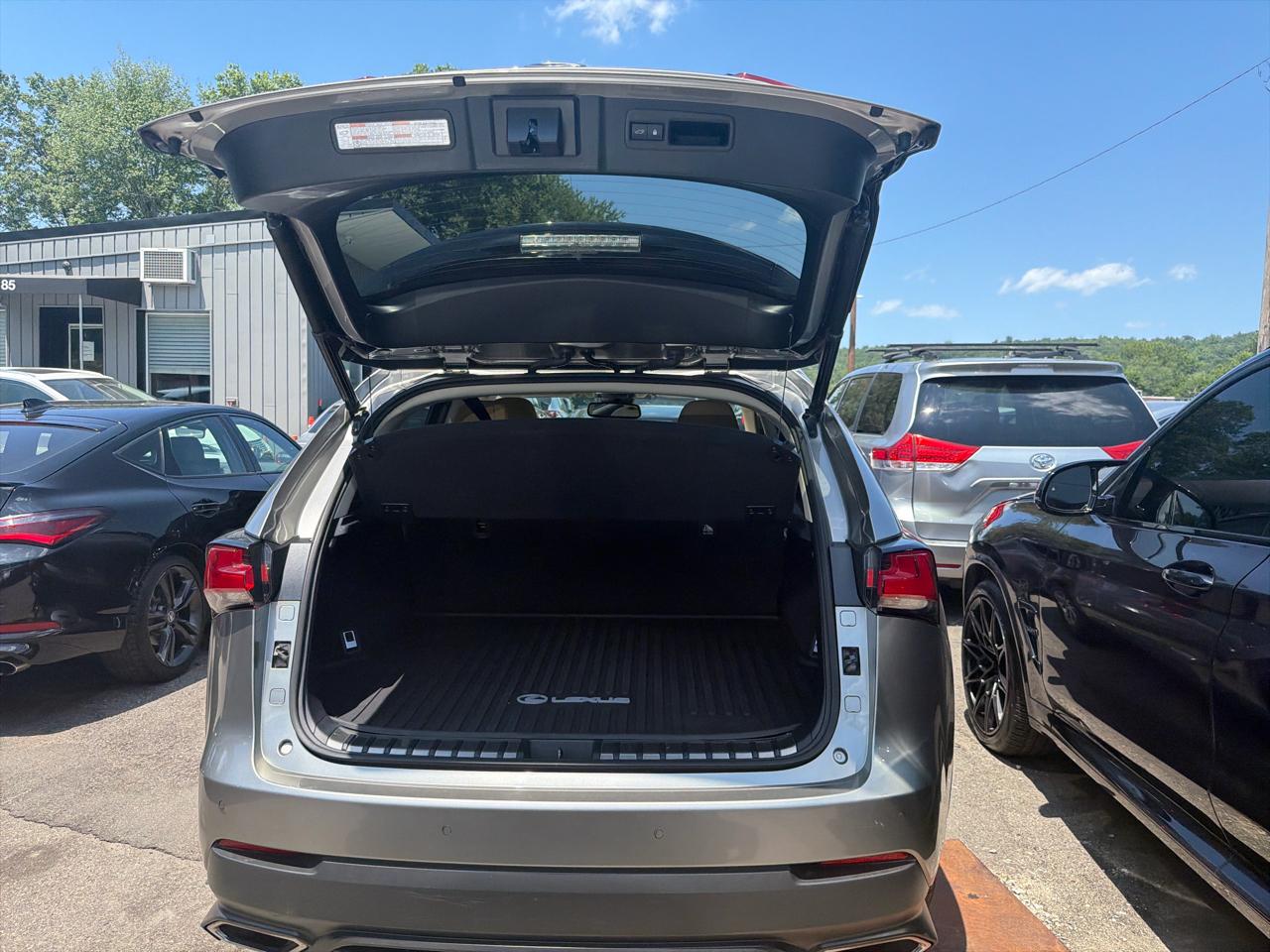 Lexus NX NX 300 AWD 2019
