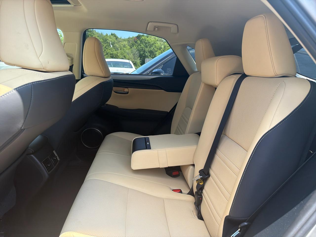 Lexus NX NX 300 AWD 2019