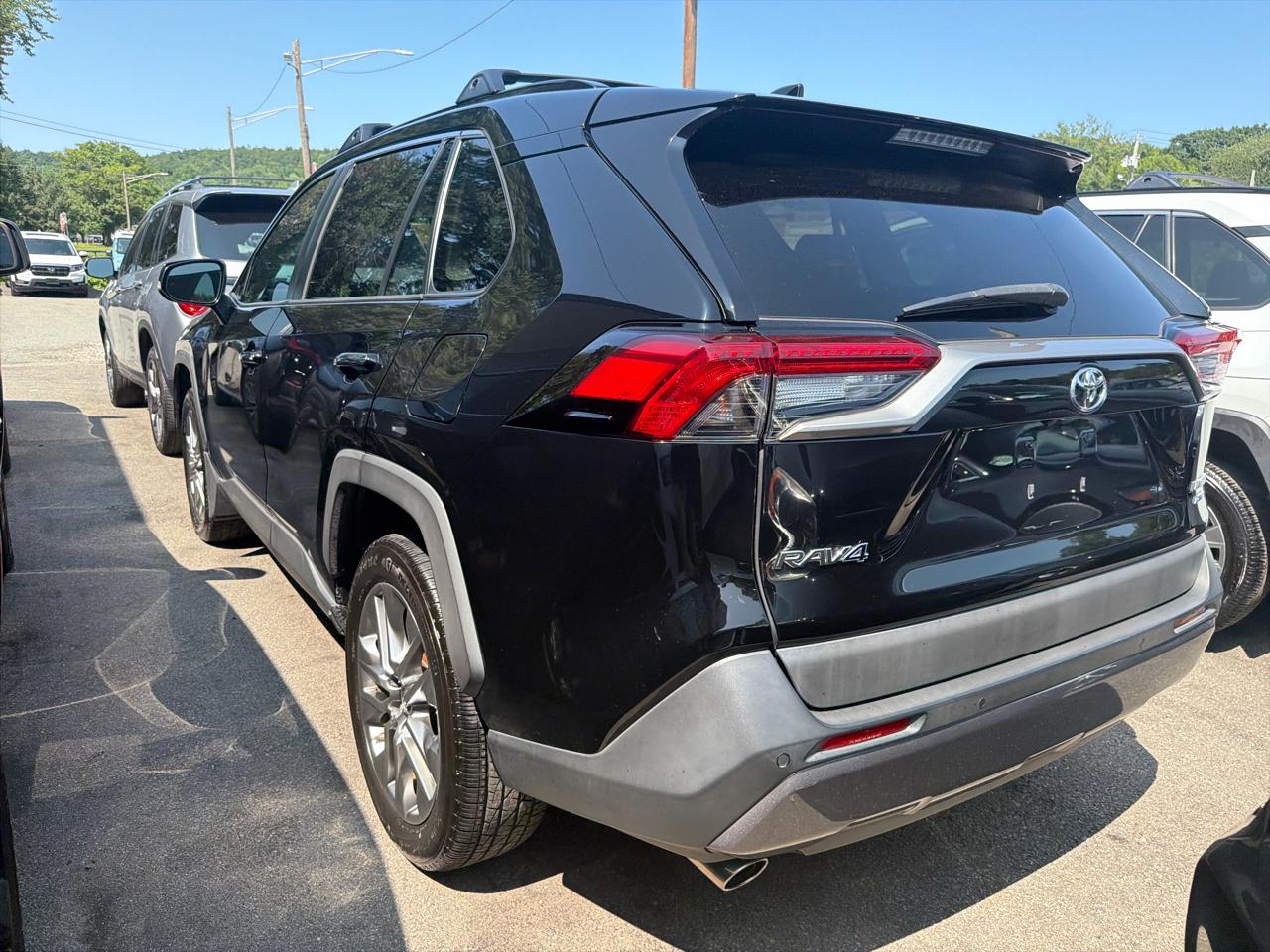 Toyota RAV4 Limited AWD (Natl) 2019