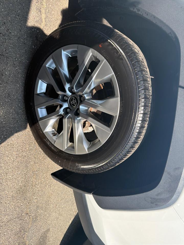 Toyota RAV4 XLE Premium AWD (Natl) 2025
