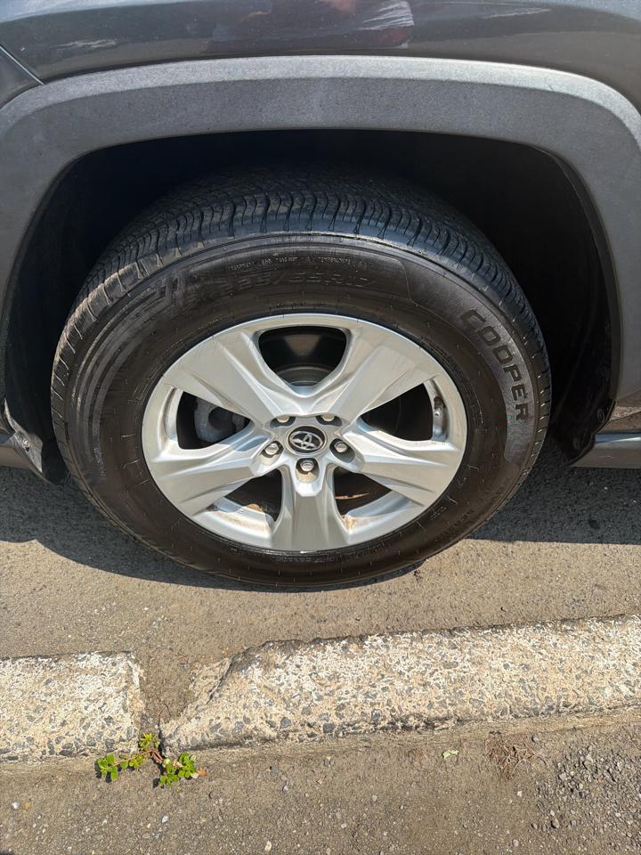 Toyota RAV4 XLE AWD (Natl) 2019