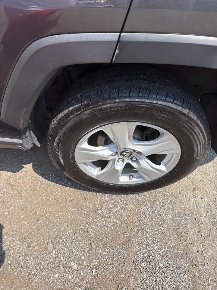 Toyota RAV4 XLE AWD (Natl) 2019