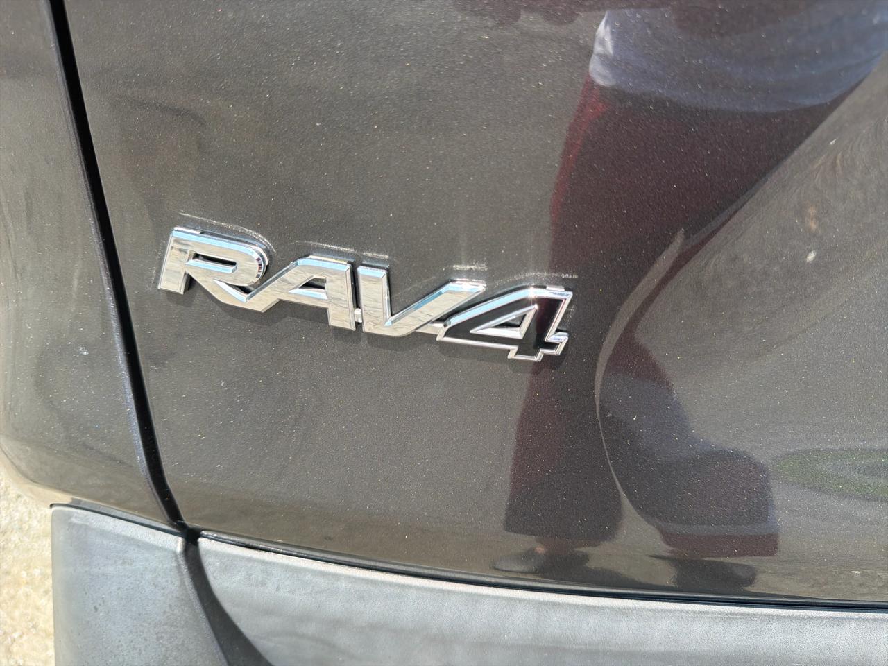 Toyota RAV4 XLE AWD (Natl) 2019