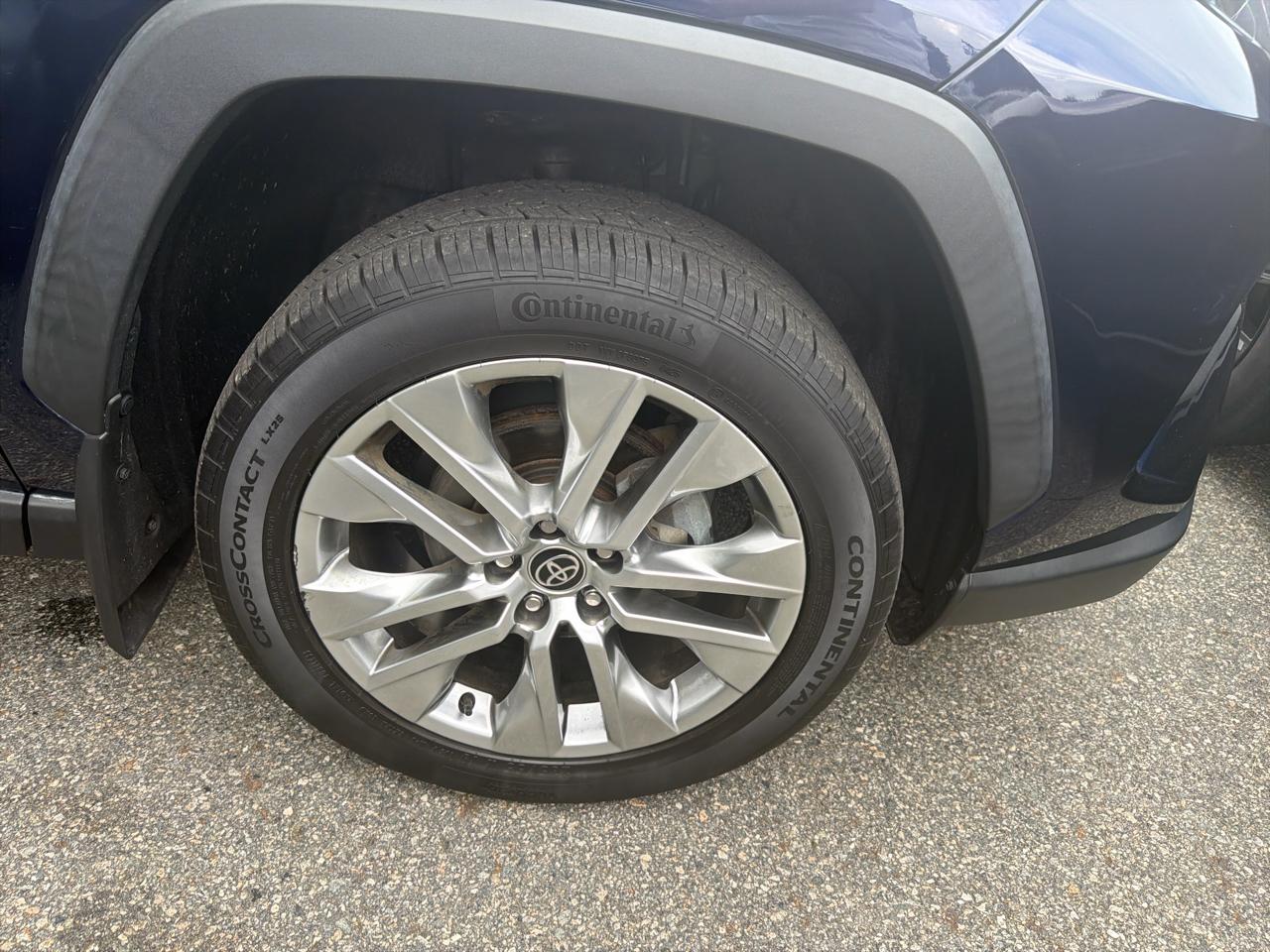 Toyota RAV4 XLE Premium AWD (Natl) 2022