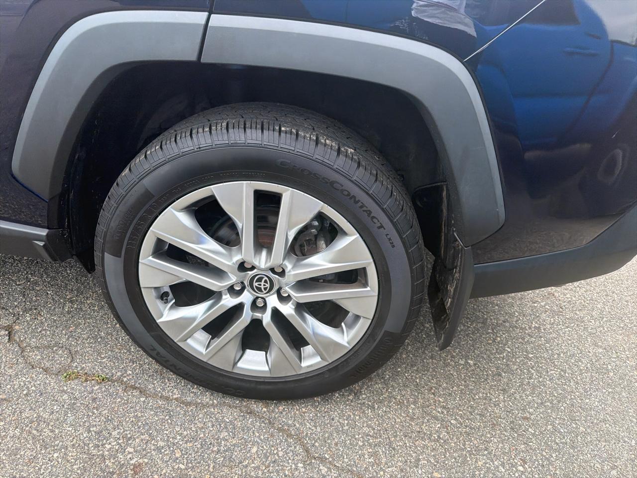 Toyota RAV4 XLE Premium AWD (Natl) 2022