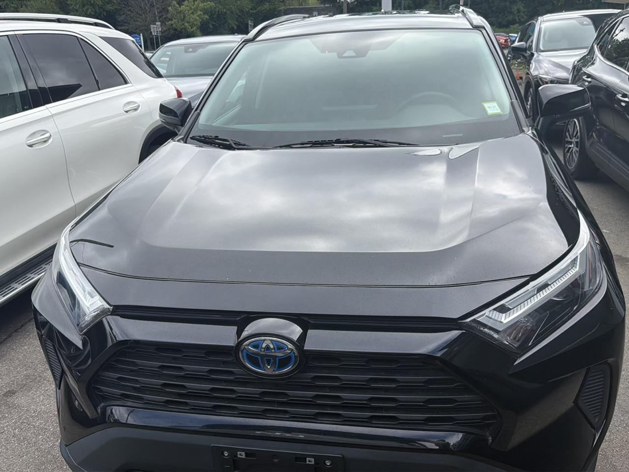 Toyota RAV4 Hybrid XLE AWD (Natl) 2023