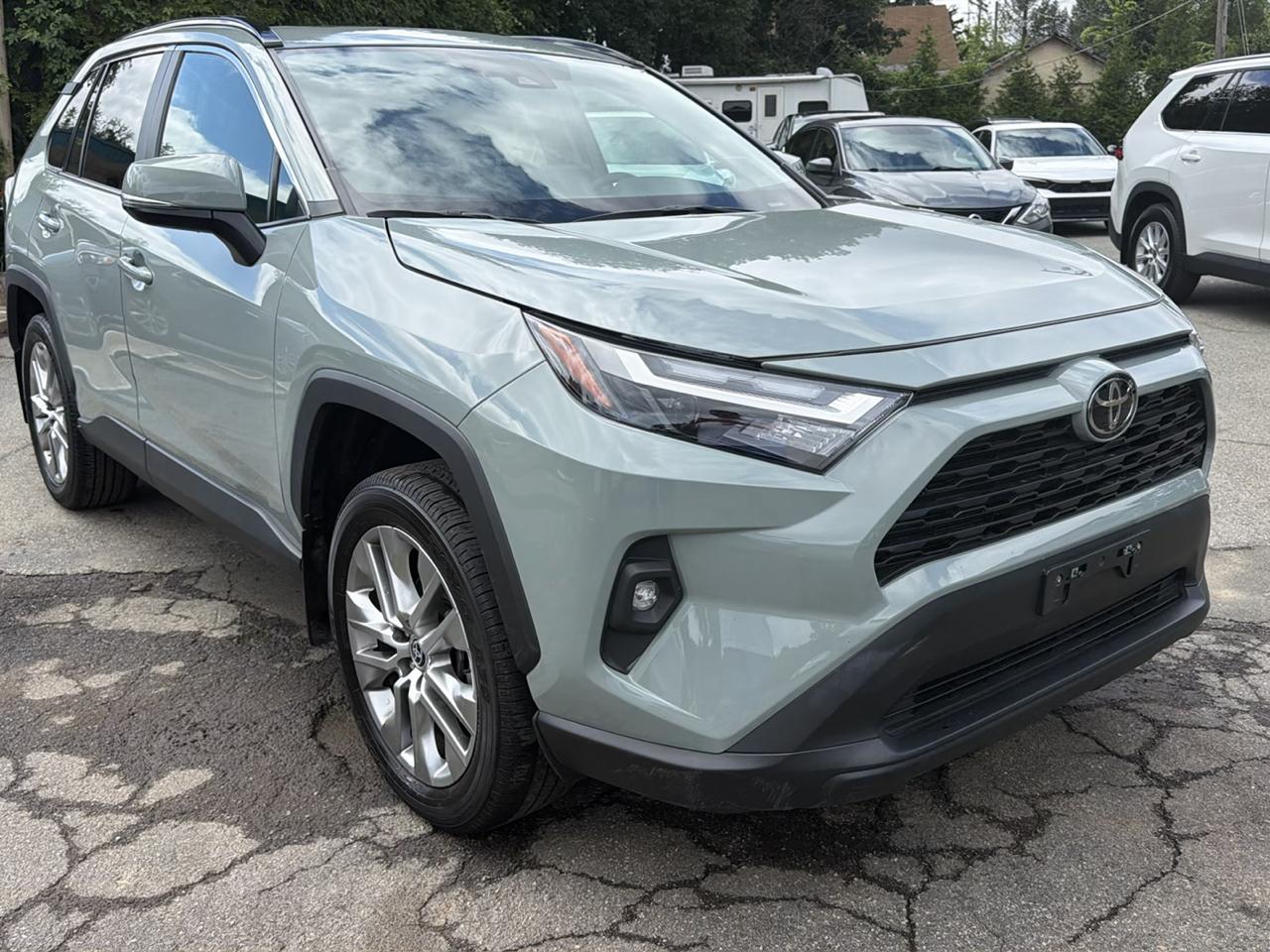 Toyota RAV4 XLE Premium AWD (Natl) 2023