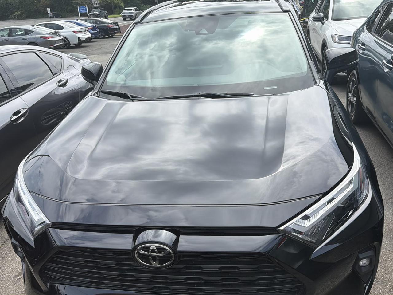 Toyota RAV4 XLE Premium AWD (Natl) 2024