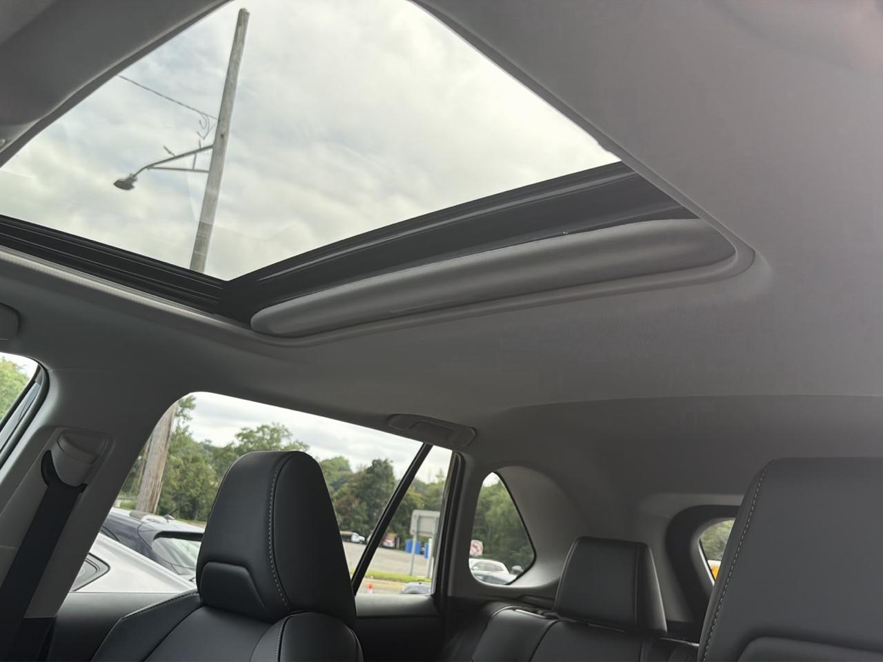 Toyota RAV4 XLE Premium AWD (Natl) 2024