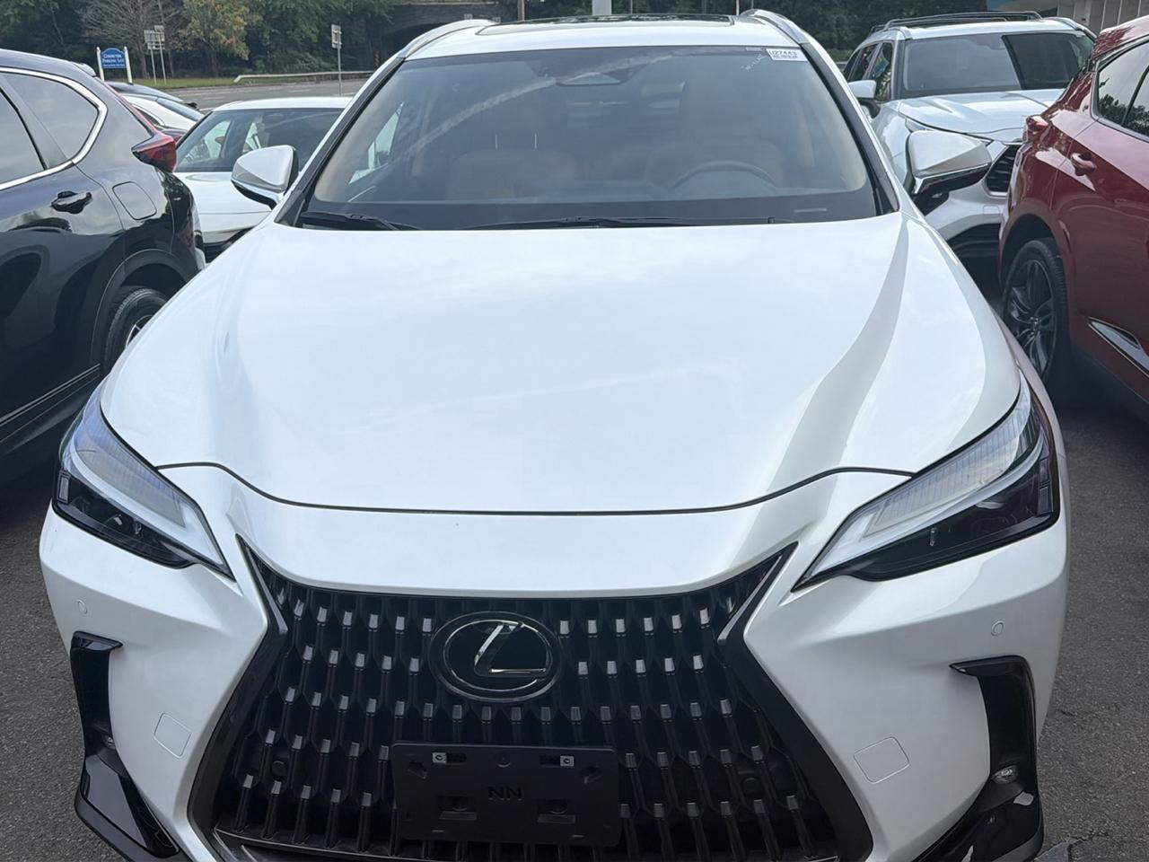 Lexus NX NX 350 Premium AWD 2024