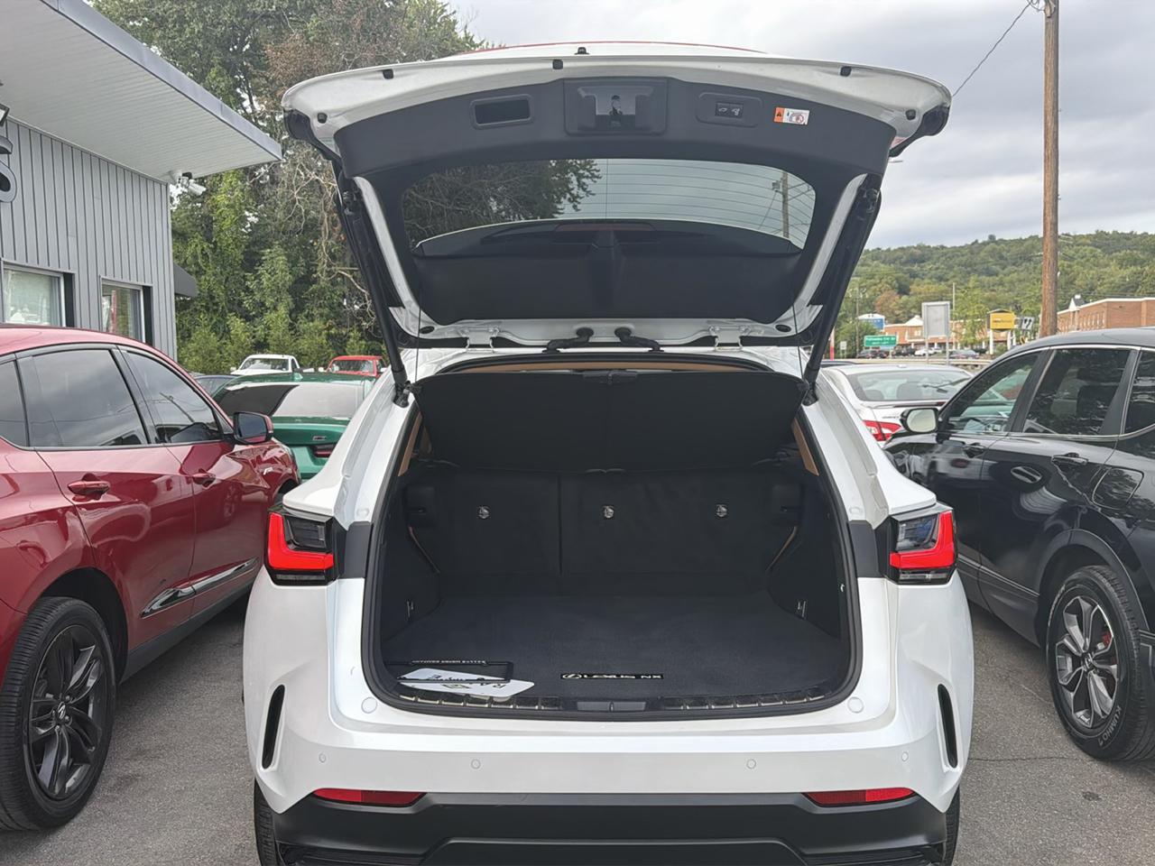 Lexus NX NX 350 Premium AWD 2024