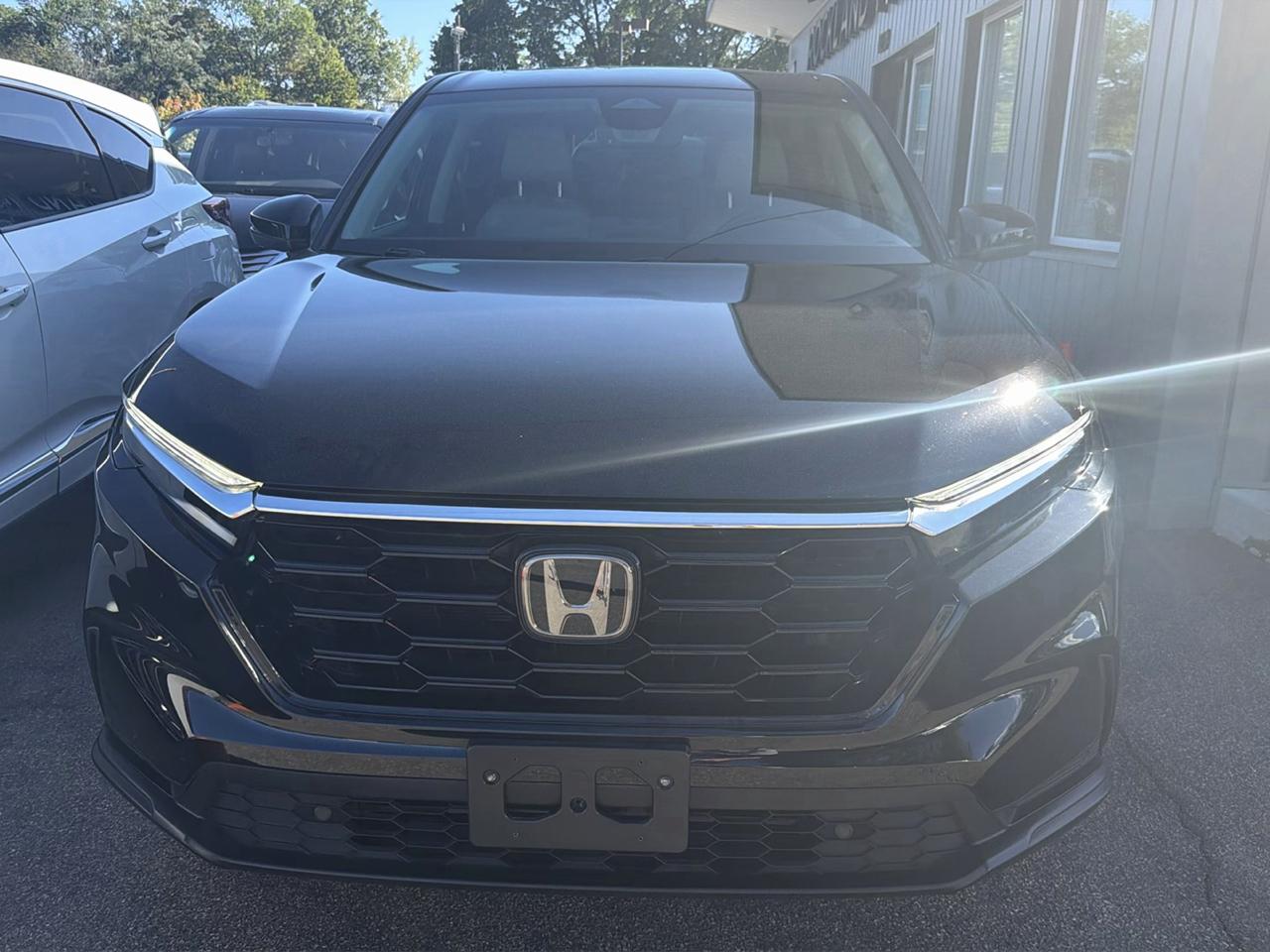Honda CR-V EX-L AWD 2024