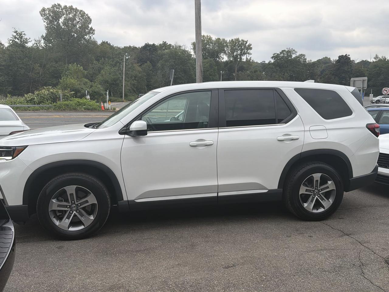 Honda Pilot EX-L 7 Passenger AWD 2024