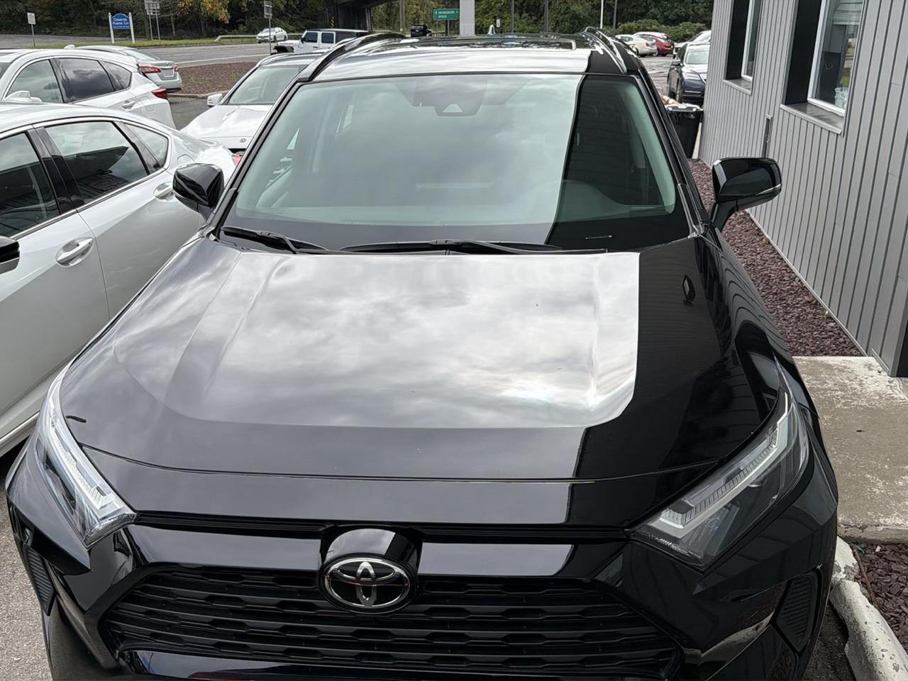 Toyota RAV4 XLE AWD (Natl) 2025