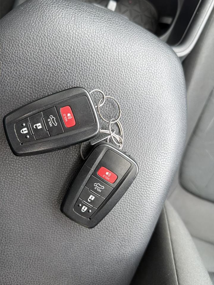 Toyota RAV4 XLE AWD (Natl) 2025