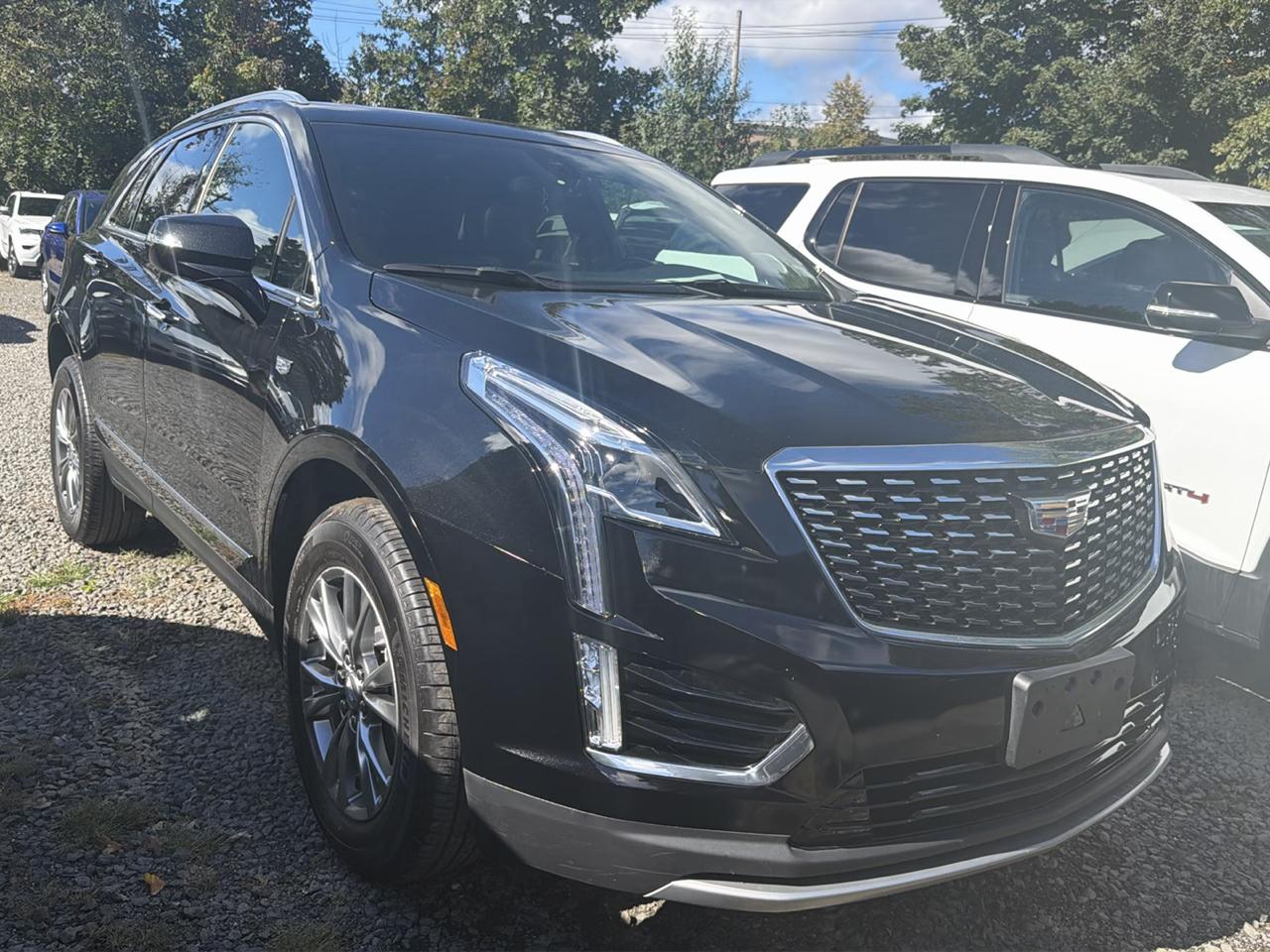 Cadillac XT5 AWD 4dr Premium Luxury 2023