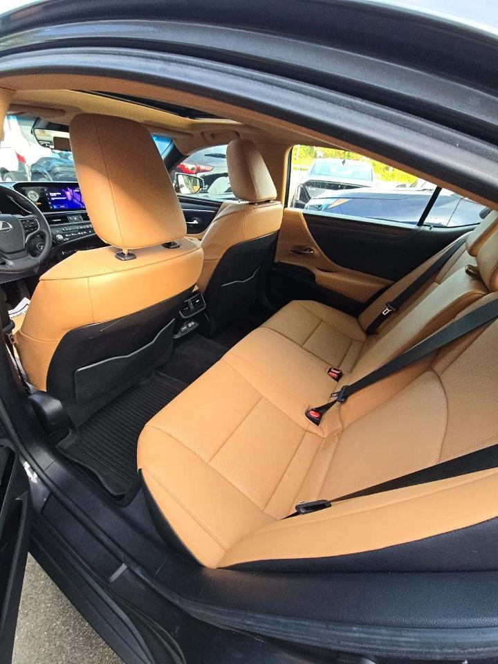 Lexus ES ES 250 AWD 2024