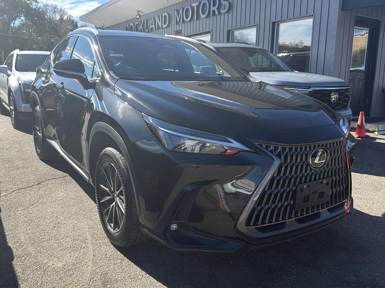 Lexus NX NX 350 AWD 2024