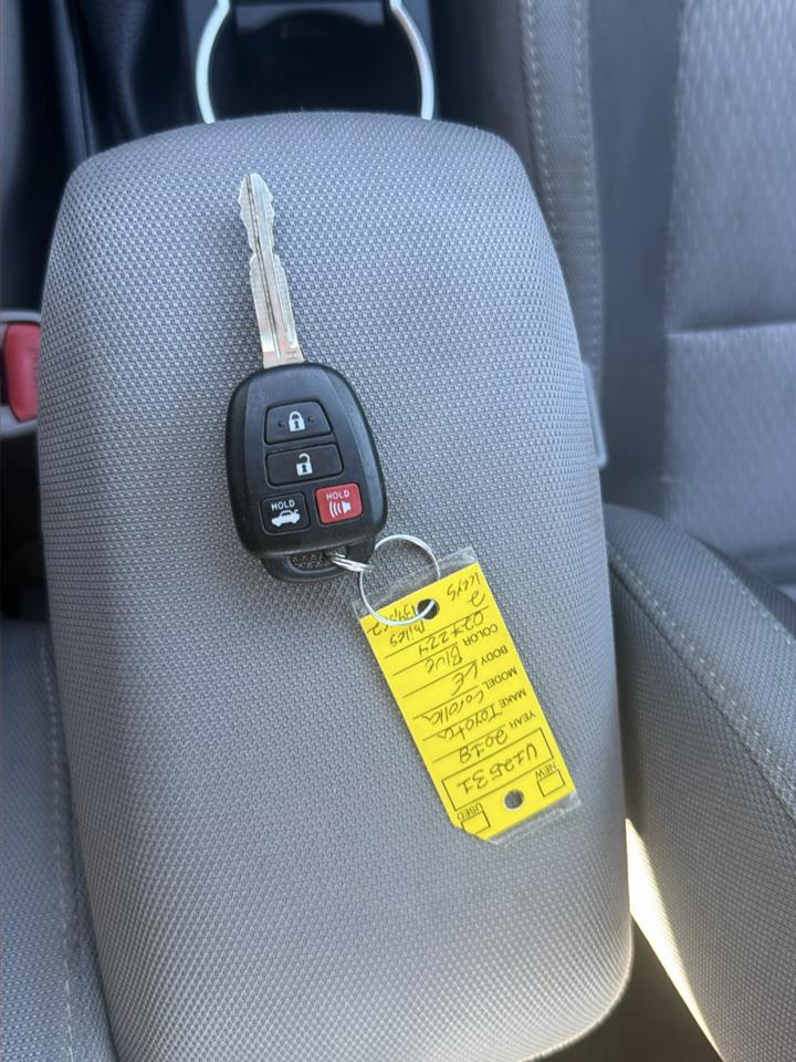 Toyota Corolla XLE CVT (Natl) 2018