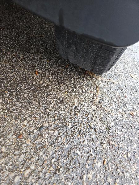 Toyota RAV4 4-Door 4WD 2012