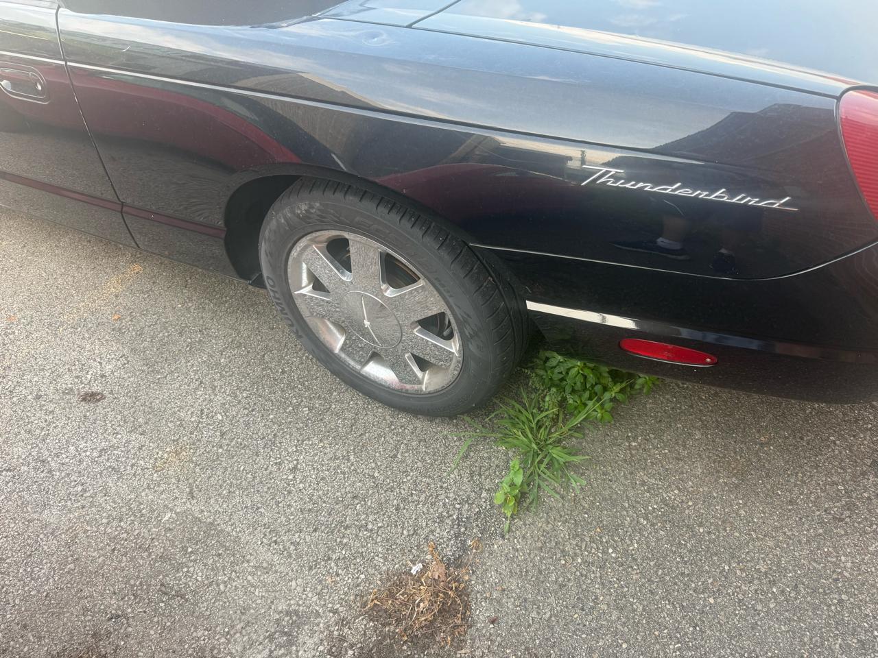 Ford Thunderbird 2dr Conv w/Hardtop Deluxe 2002