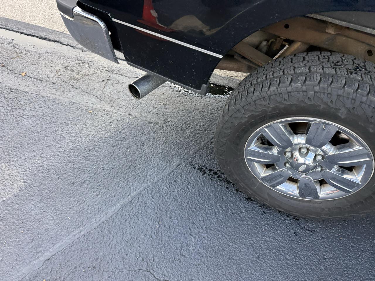 Ford F-150 4WD SuperCrew 145" Platinum 2011