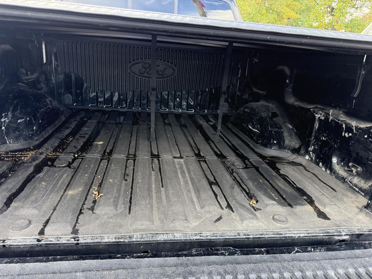 Ford F-150 4WD SuperCrew 145" Platinum 2011
