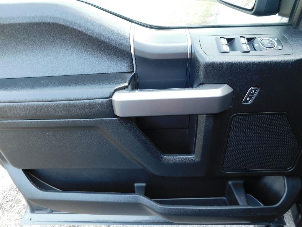 Ford F-150 XLT SuperCrew 6.5-ft. Bed 4WD 2019