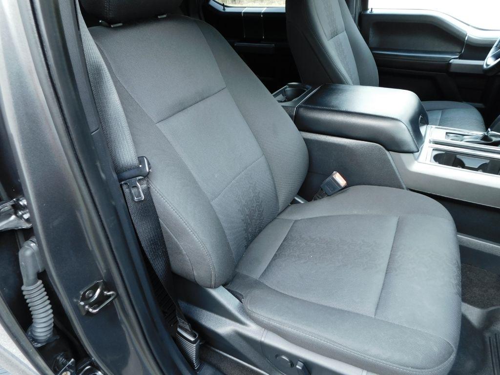 Ford F-150 XLT SuperCrew 6.5-ft. Bed 4WD 2019