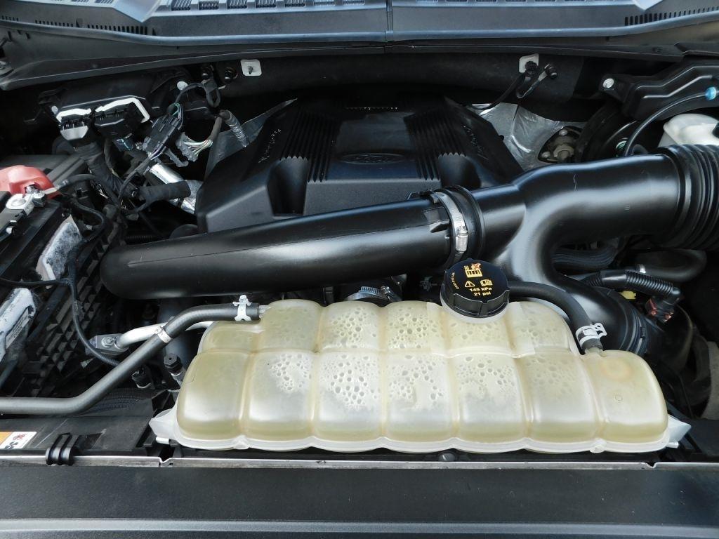 Ford F-150 XLT SuperCrew 6.5-ft. Bed 4WD 2019