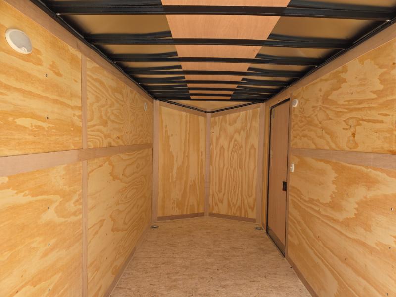 Haul About Panther  2025