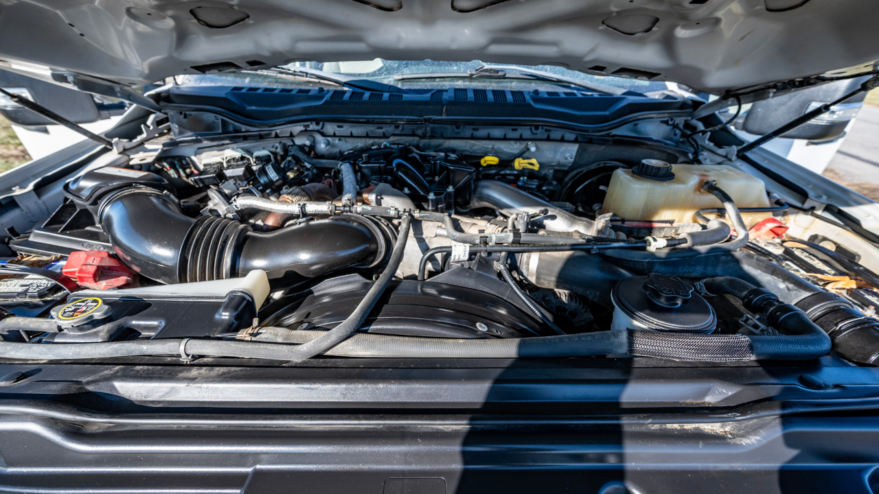 Ford F-250 SD XLT 2WD 2019