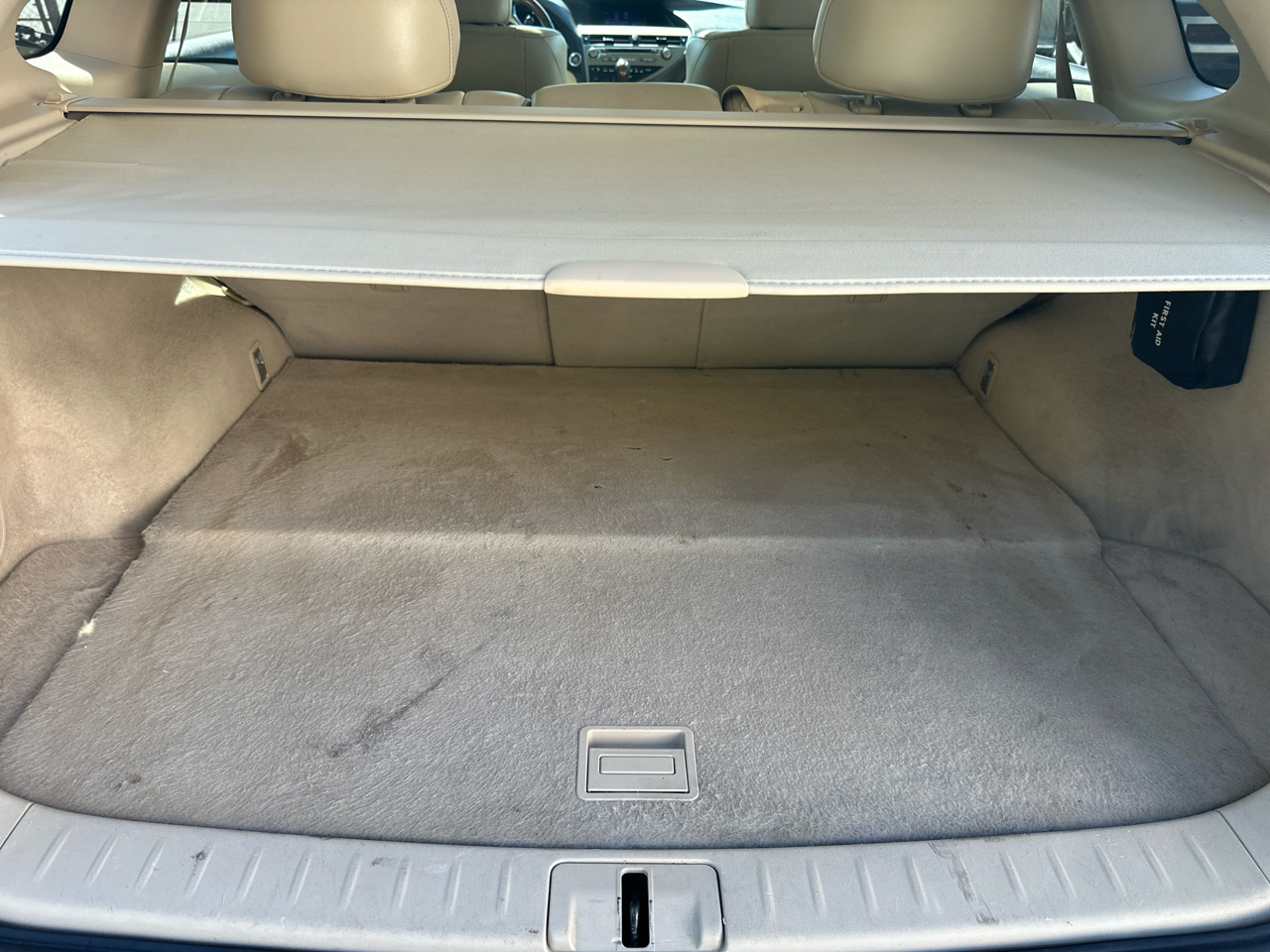 2015 Lexus RX 350 photo 19