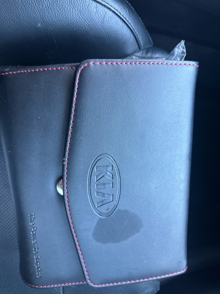 Kia Cadenza Limited 2017