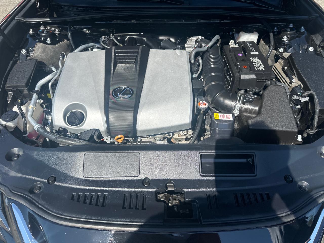 Lexus ES 350 Luxury 2019