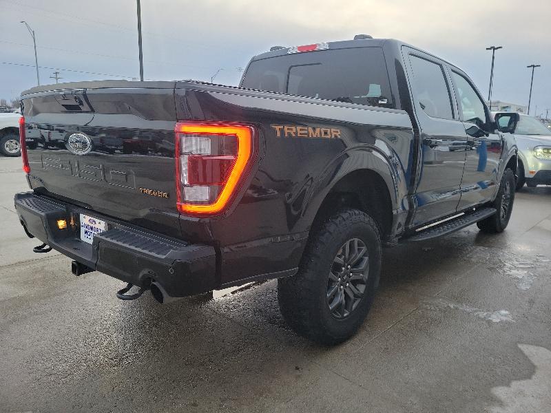 Ford F-150 Tremor 4WD SuperCrew 5.5' Box 2023