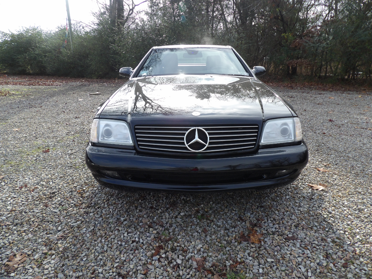 Mercedes-Benz SL-Class 2dr Roadster 5.0L 2000