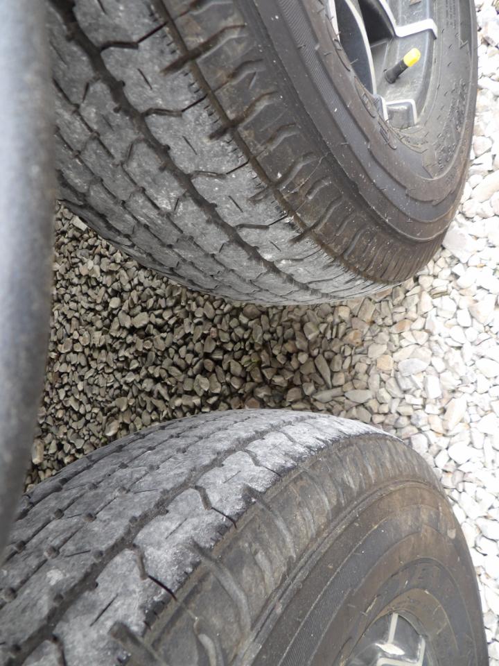 Forest River Surveyor  2025