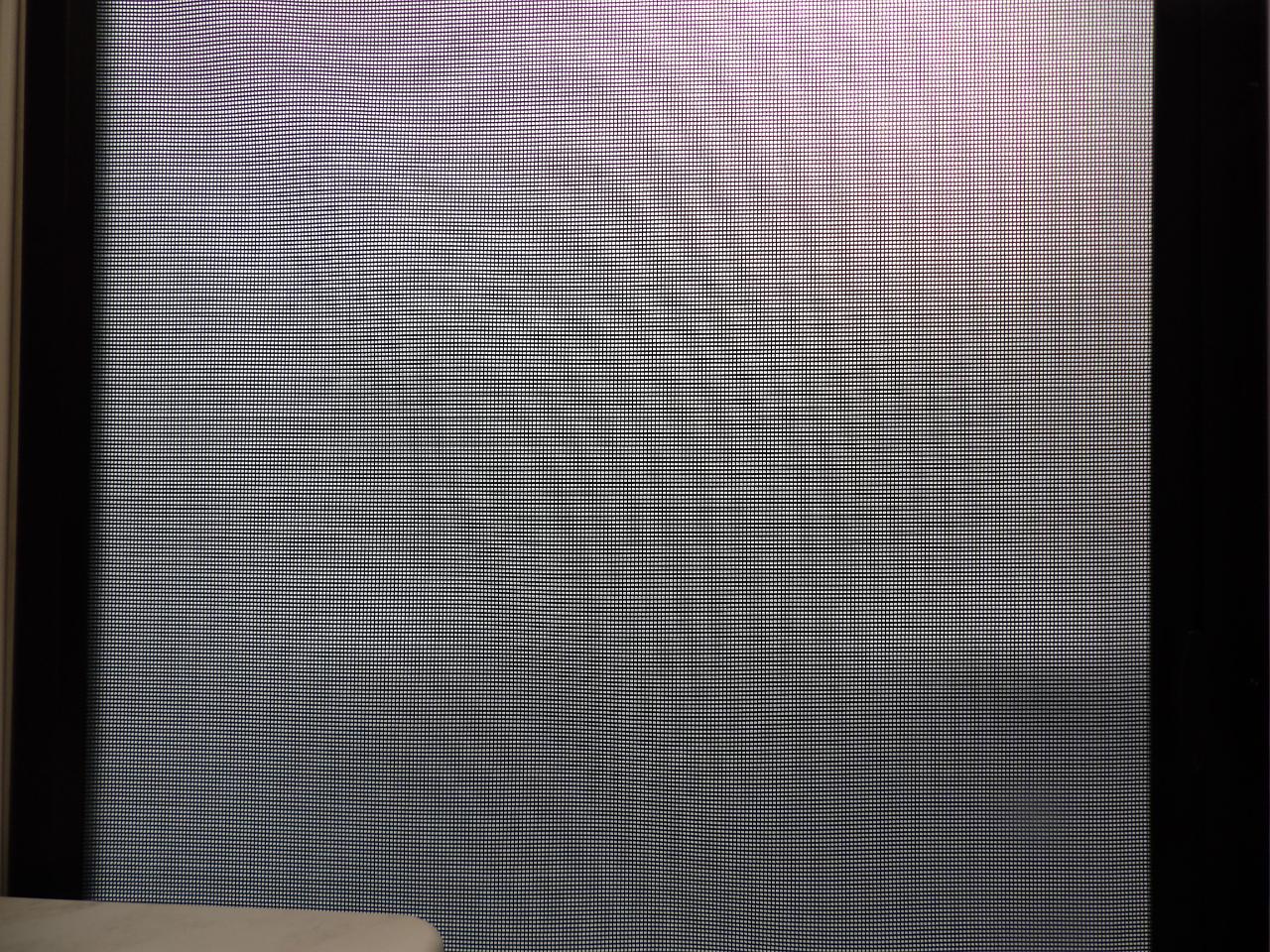 Forest River Surveyor  2025