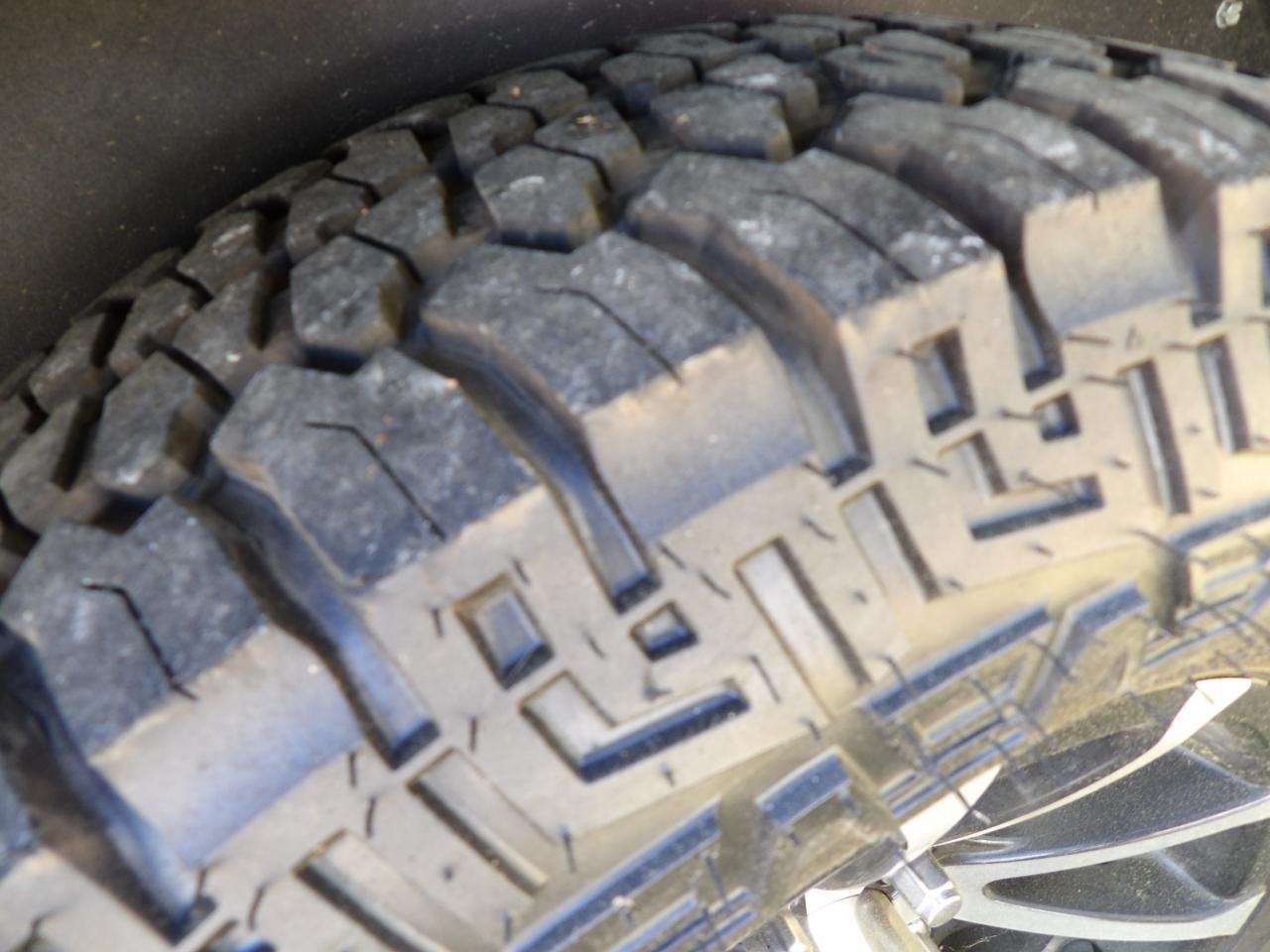 Dutchmen Coleman  2023