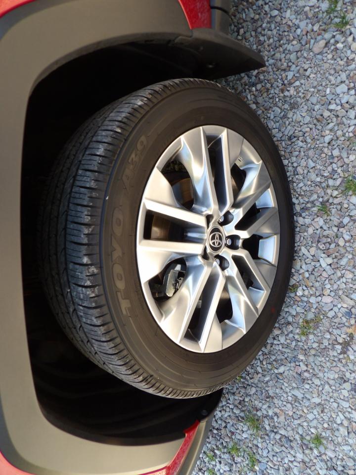 Toyota RAV4 XLE Premium FWD (Natl) 2024