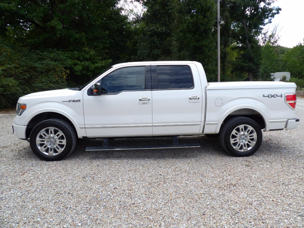 Ford F-150 4WD SuperCrew 145" Platinum 2014