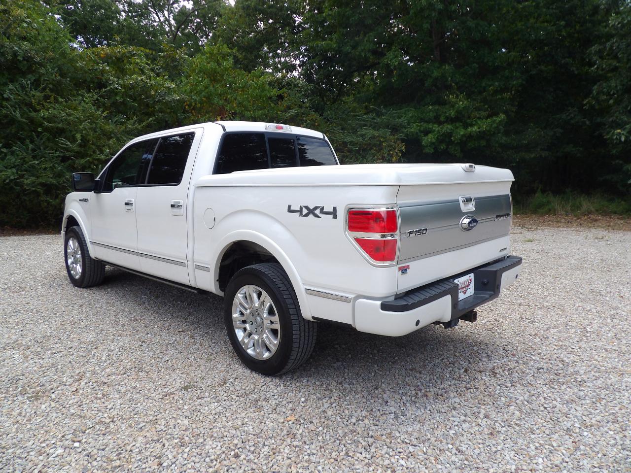 Ford F-150 4WD SuperCrew 145" Platinum 2014