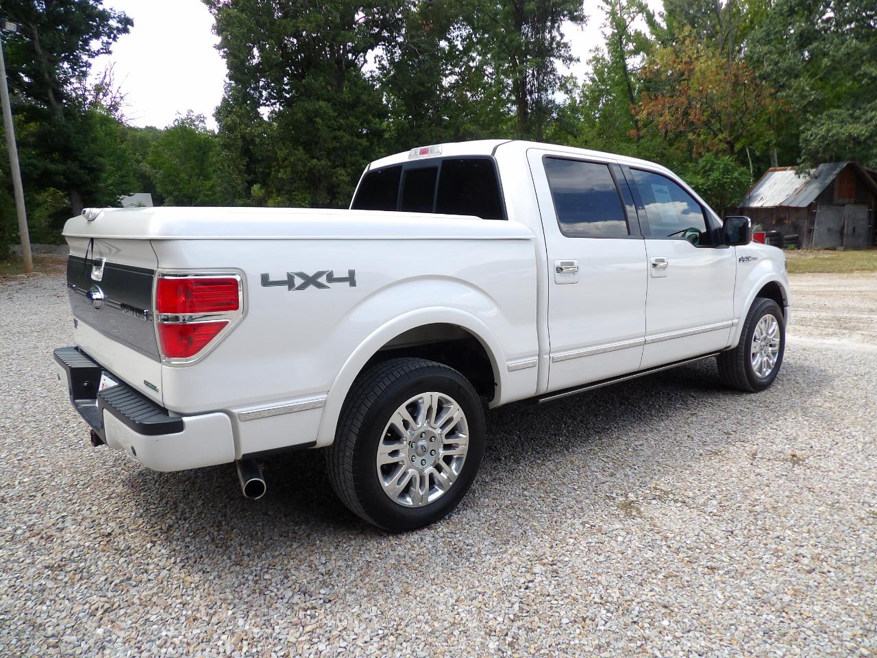 Ford F-150 4WD SuperCrew 145" Platinum 2014